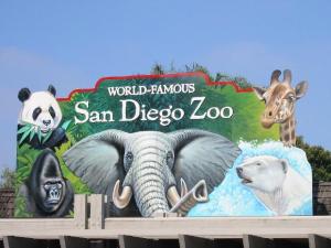 Evelyn Brooks Designs is now sold at the San Diego Zoo